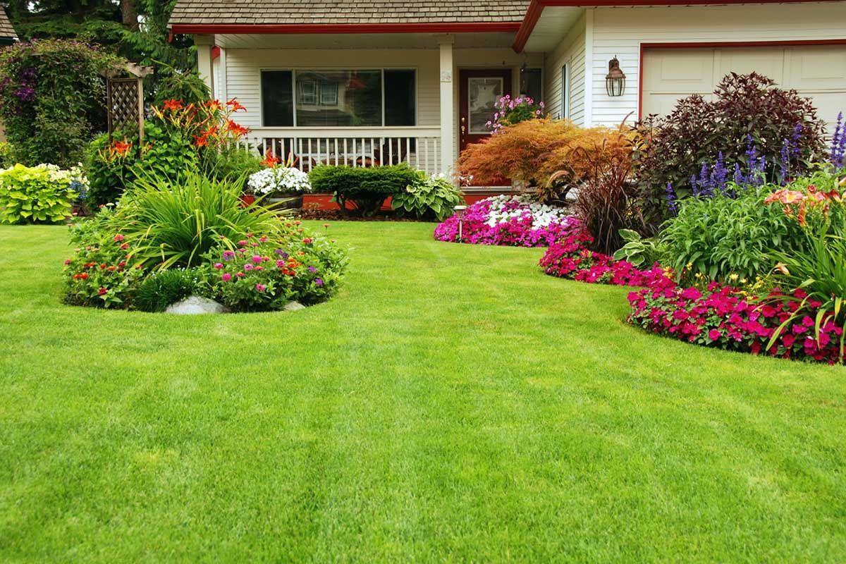 A house with a lush green lawn and flowers in front of it