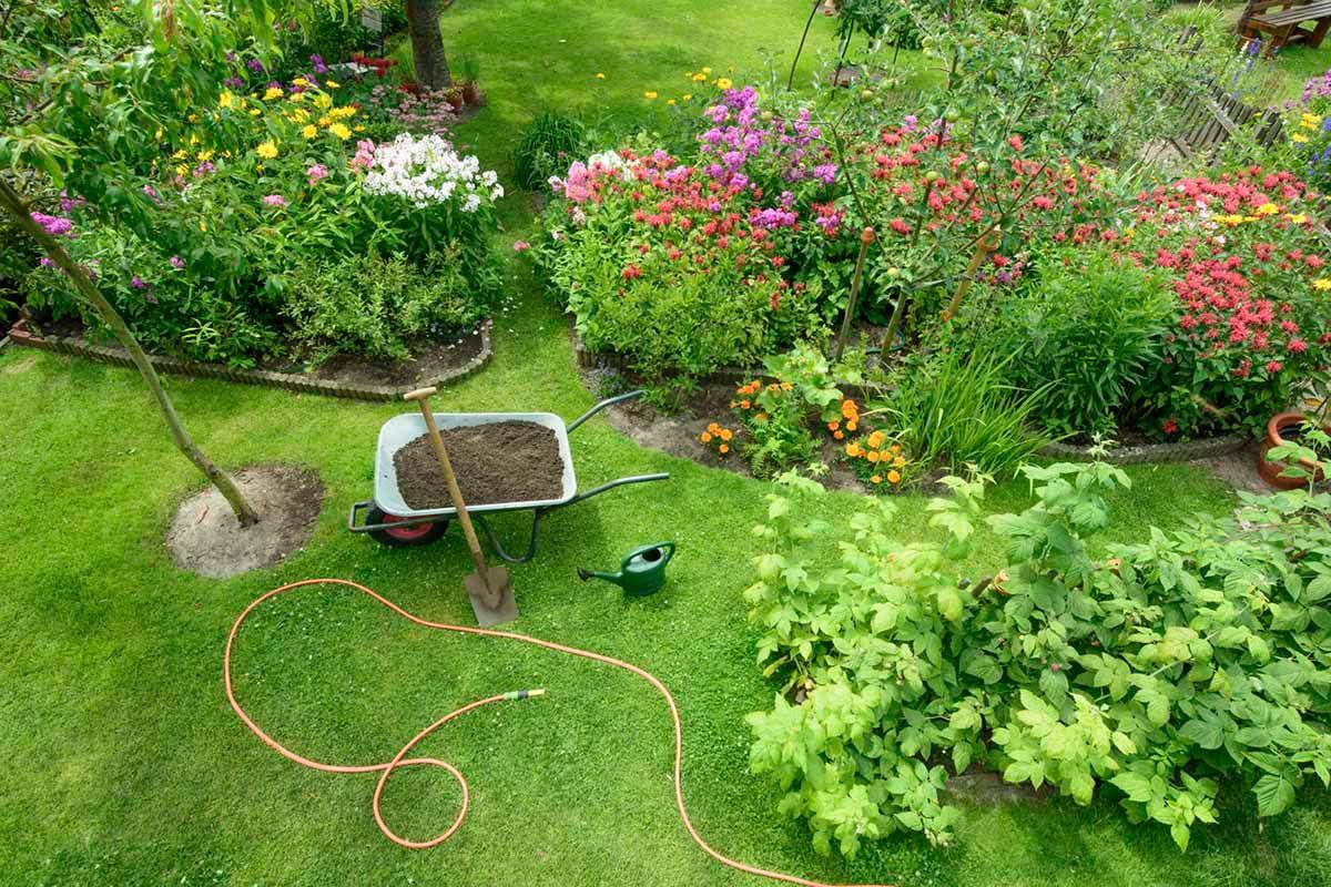 A wheelbarrow filled with dirt and a shovel in a garden.