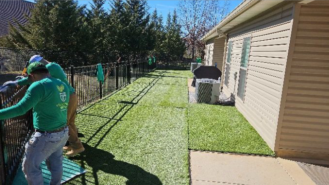 new sod placed in a yeard
