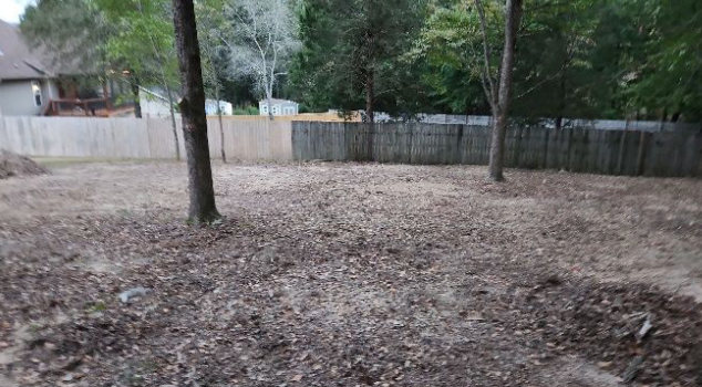 There is a lot of leaves on the ground in the backyard.