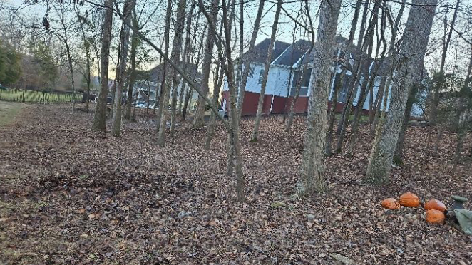 There are pumpkins in the woods in front of a house.