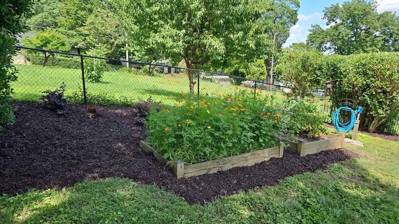 A garden with lots of plants and trees in it, with mulch around it