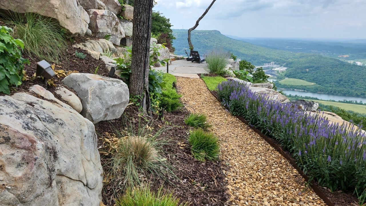 A path going up a hill with purple flowers and rocks.