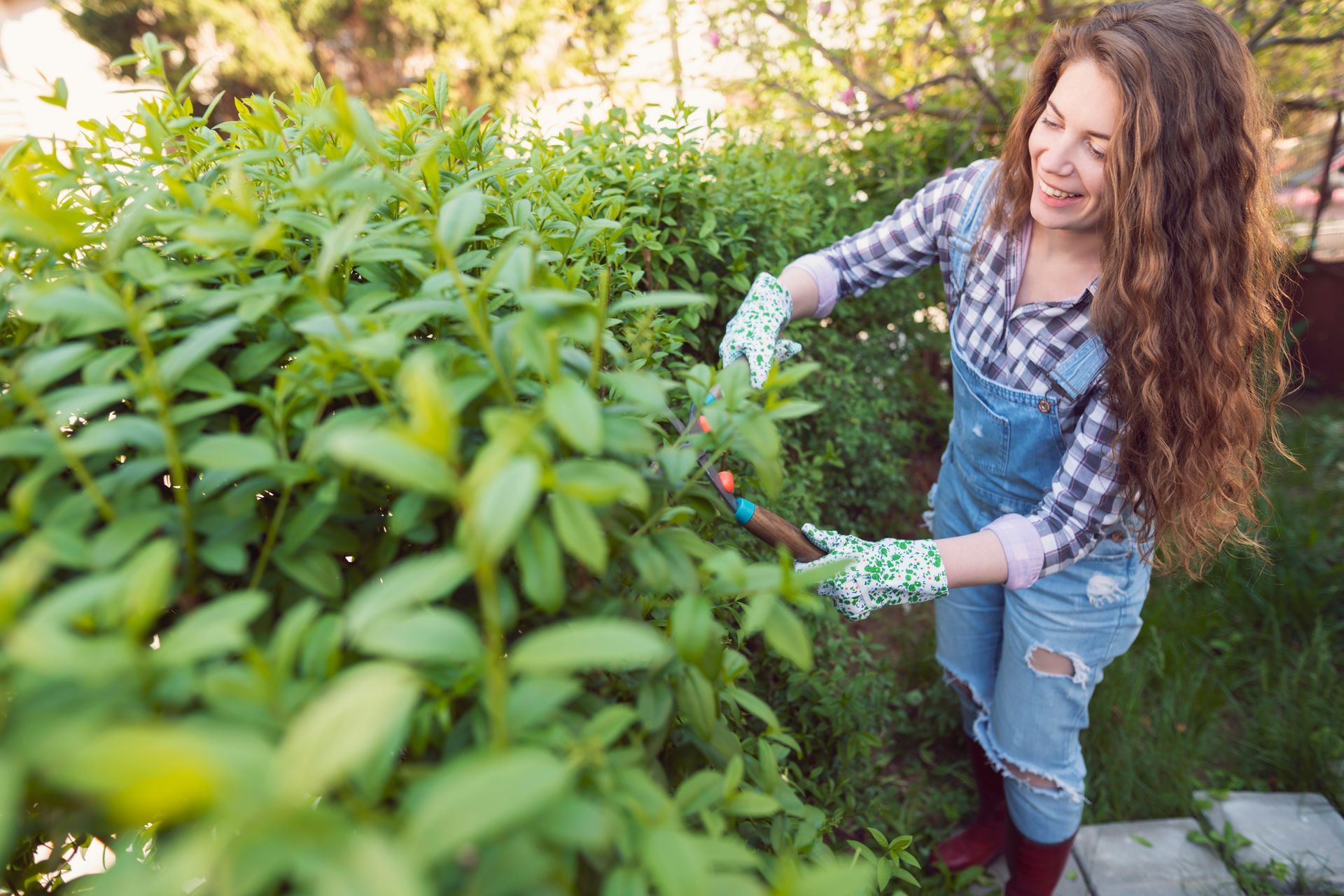A woman is cutting a bush with a pair of scissors.