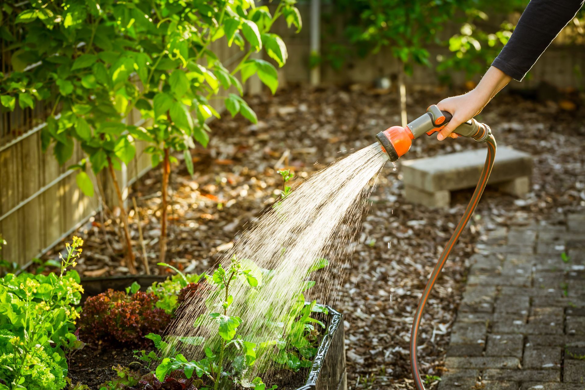 A person is watering plants with a hose in a garden.