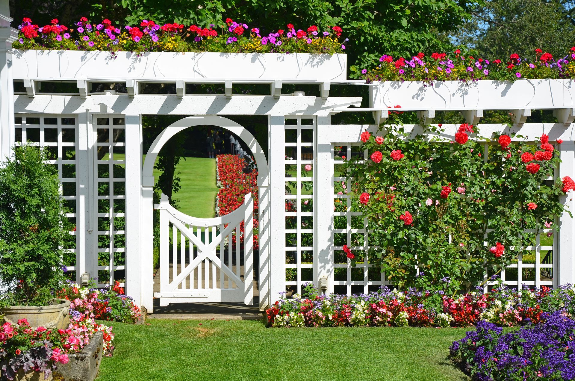 A white pergola with a gate and flowers in the background