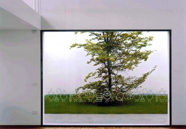 vetrata con vista giardino interno