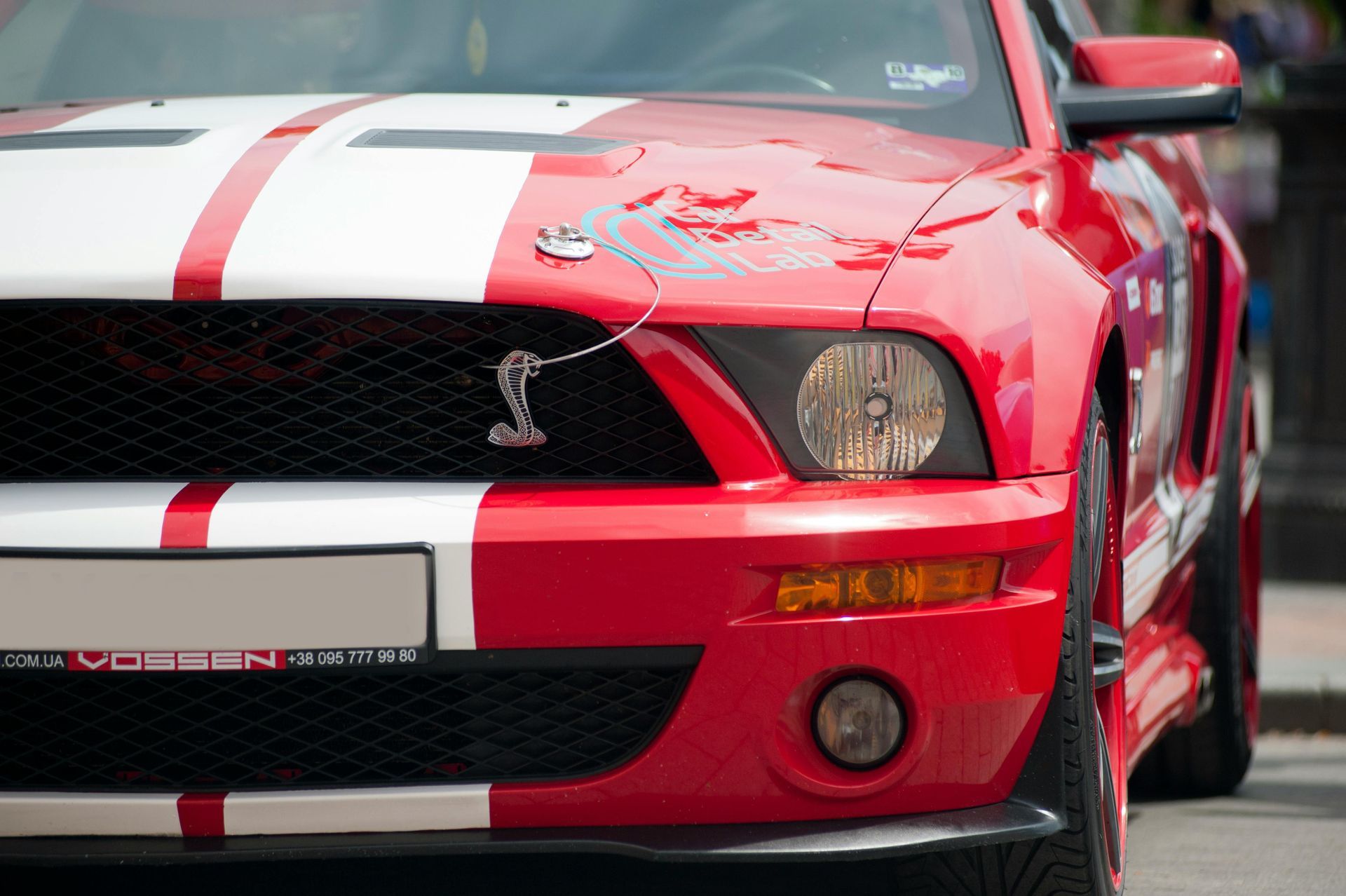 The front of a red and white mustang with a cobra emblem on the hood.