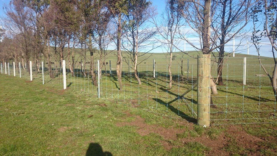 A Fence Surrounds a Grassy Field With Trees in the Background — Ettles Rural Fencing in Alfredton, VIC
