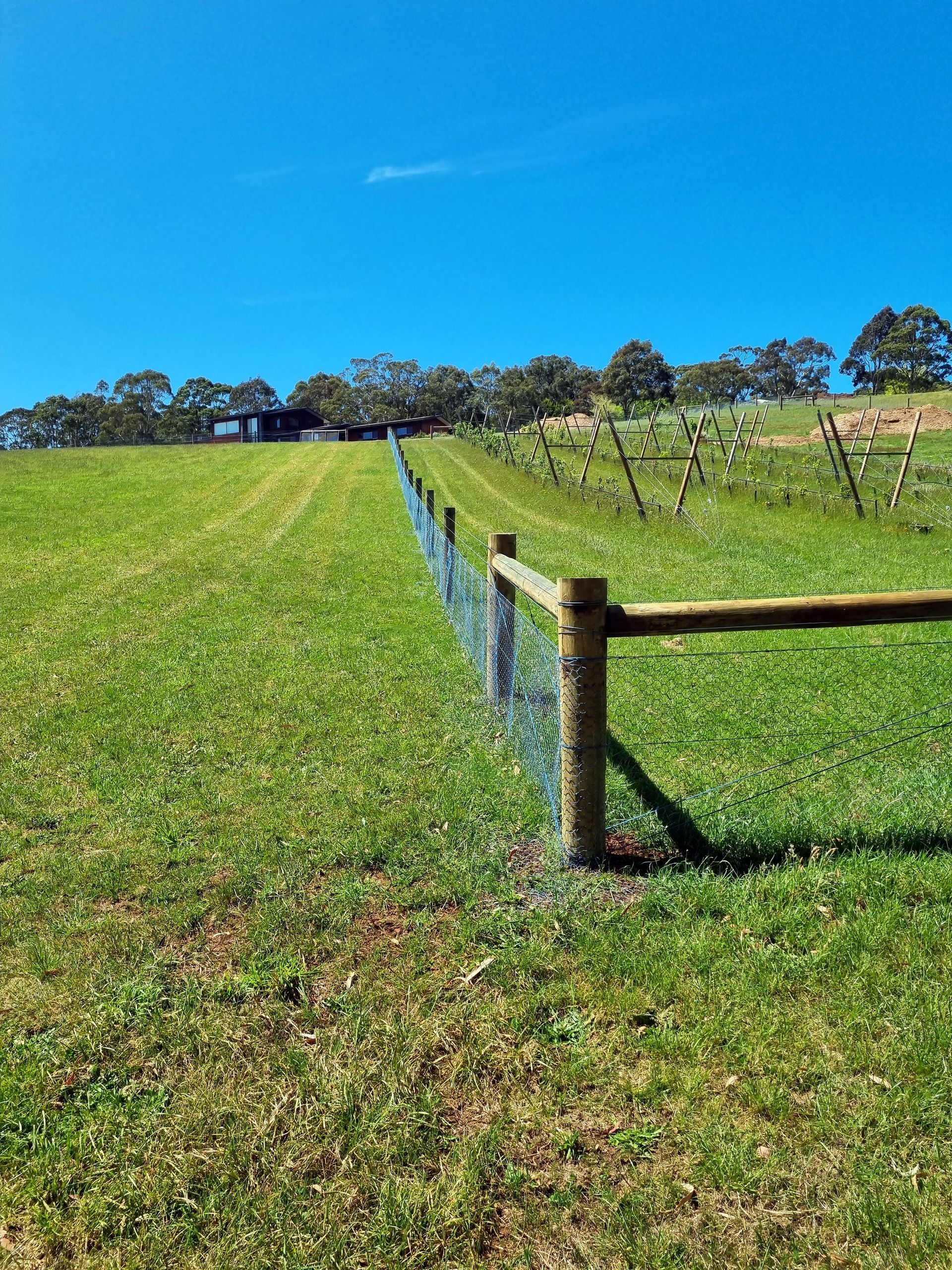 A Metal Gate Is Sitting On Top Of A Wooden Post In A Field — Ettles Rural Fencing in Alfredton, VIC