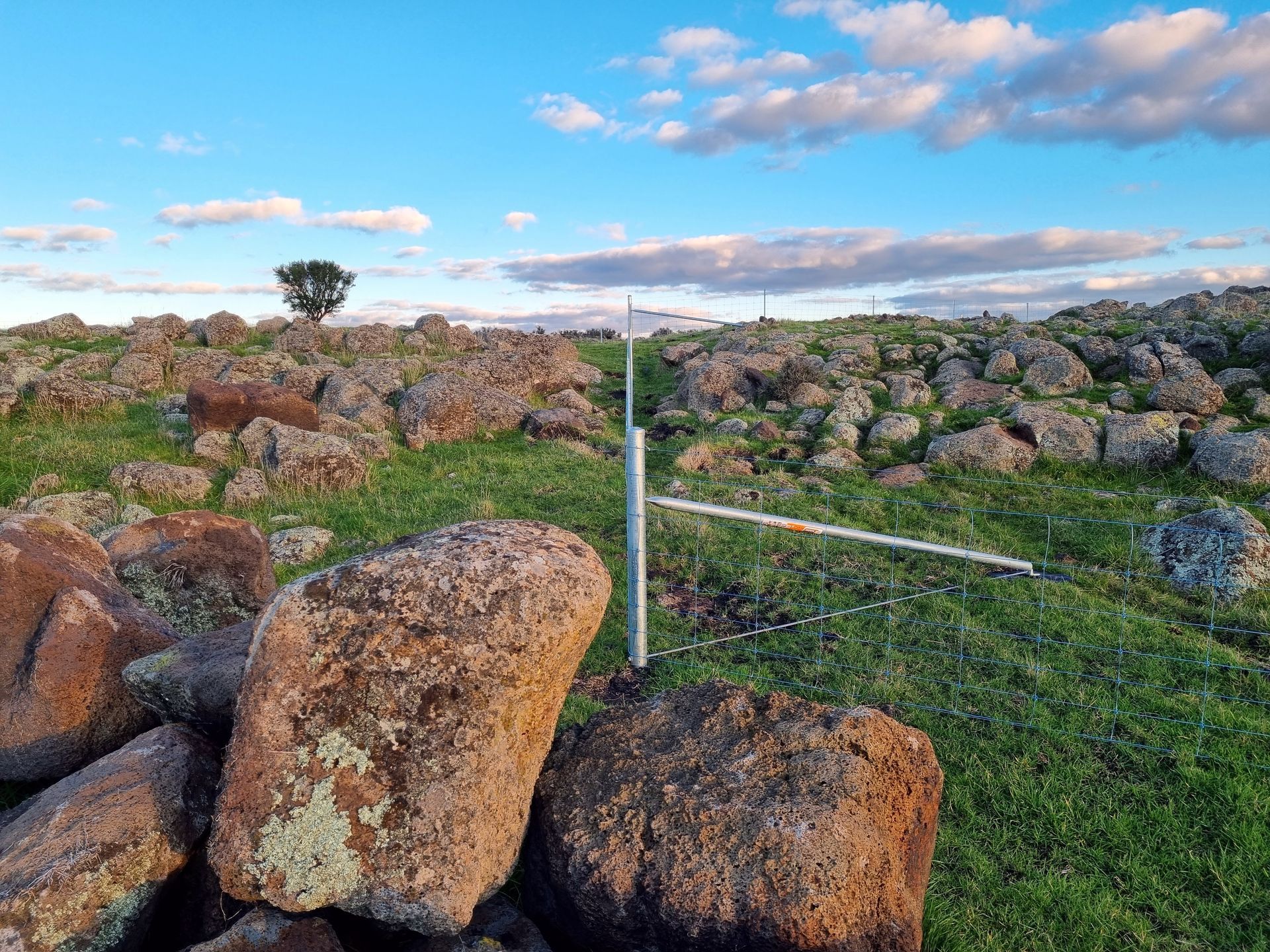 A Wooden Fence Is Surrounded By Trees And A Metal Fence — Ettles Rural Fencing in Alfredton, VIC