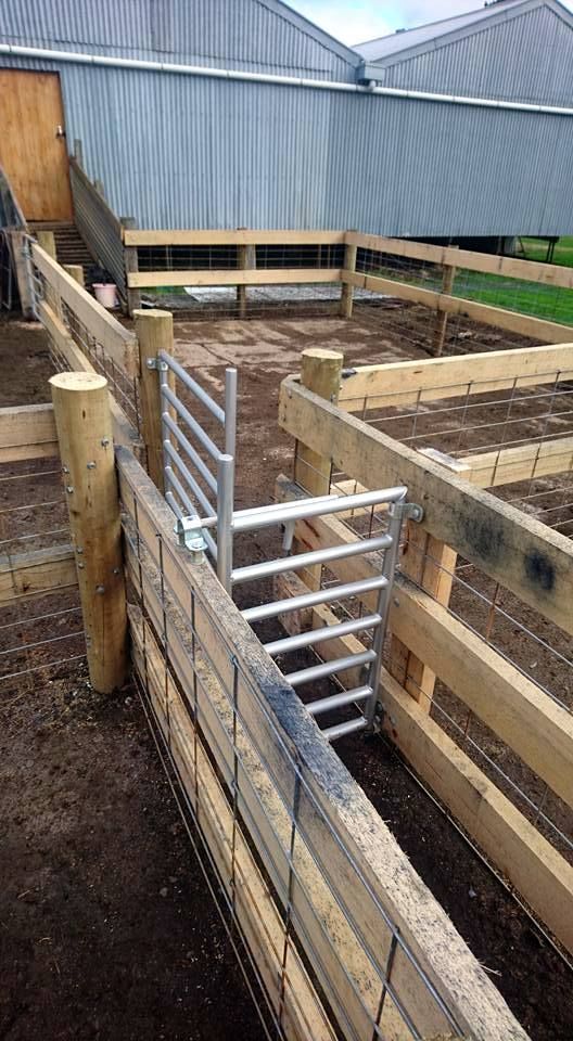 A Fence is Surrounding a Grassy Field With Trees in the Background — Ettles Rural Fencing in Alfredton, VIC