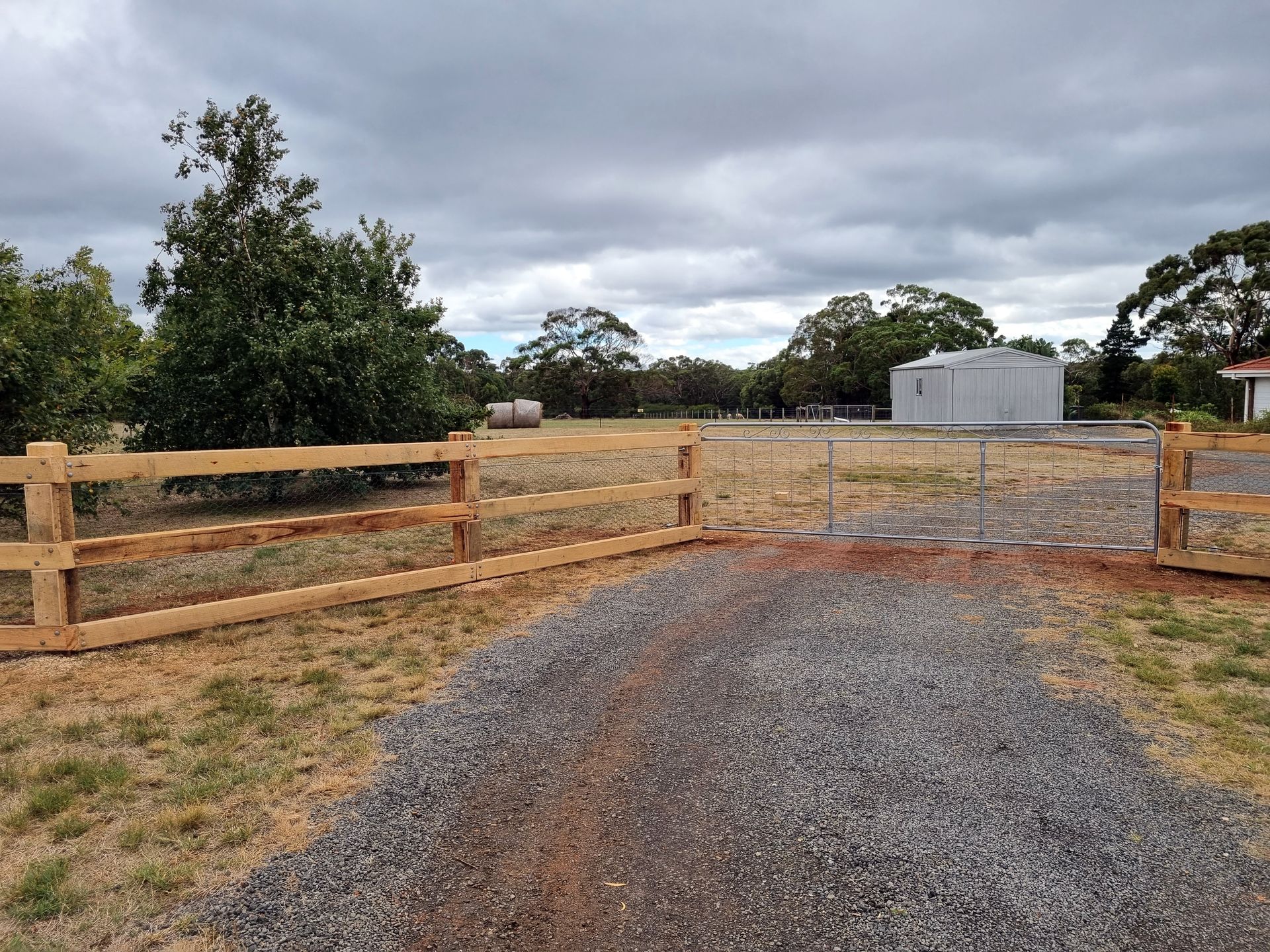 A herd of cows are standing in a field behind a fence.— Ettles Rural Fencing in Alfredton, VIC