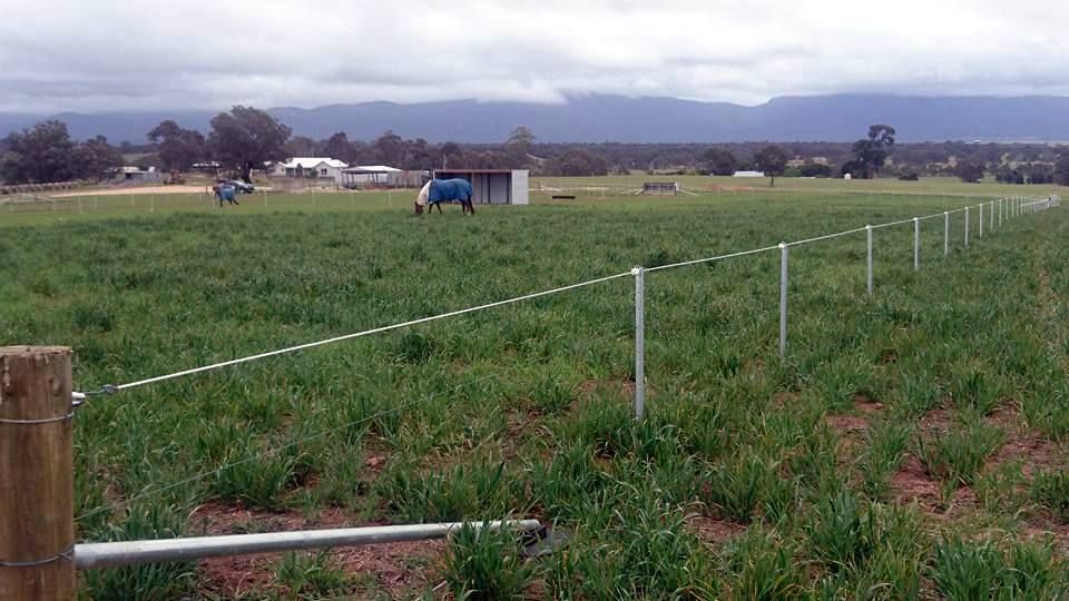 A fence is sitting in the middle of a grassy field.— Ettles Rural Fencing in Alfredton, VIC