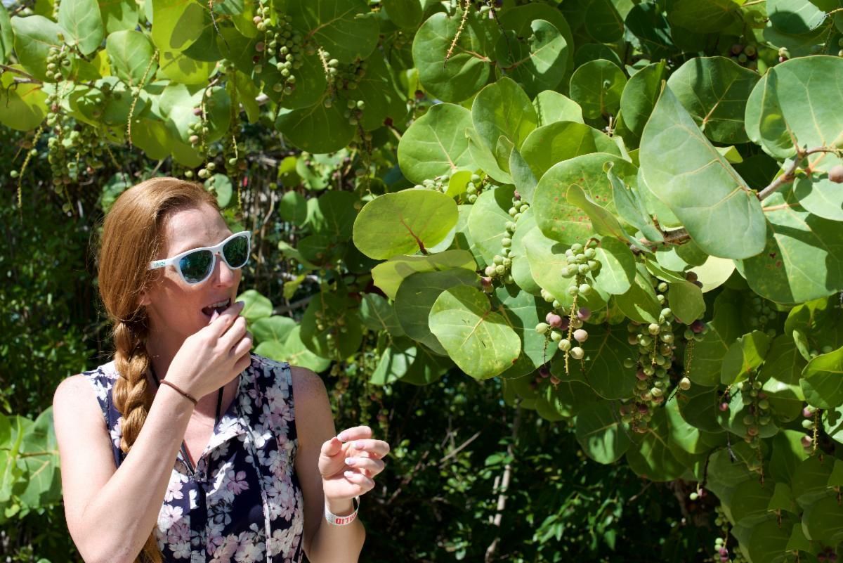 Woman with sunglasses eating small green berries from a sea grape tree, outdoors.
