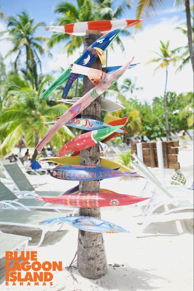 Palm tree decorated with colorful, painted fish cutouts on a beach, Blue Lagoon Island.