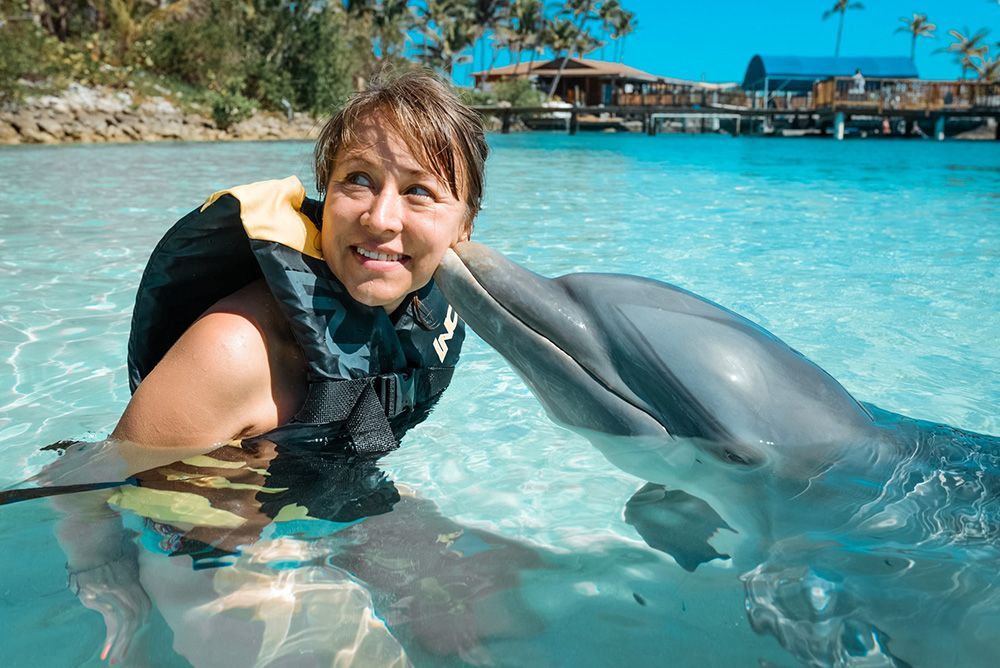 Woman in a life vest interacting with a dolphin in clear blue water; a wooden structure is in the background.