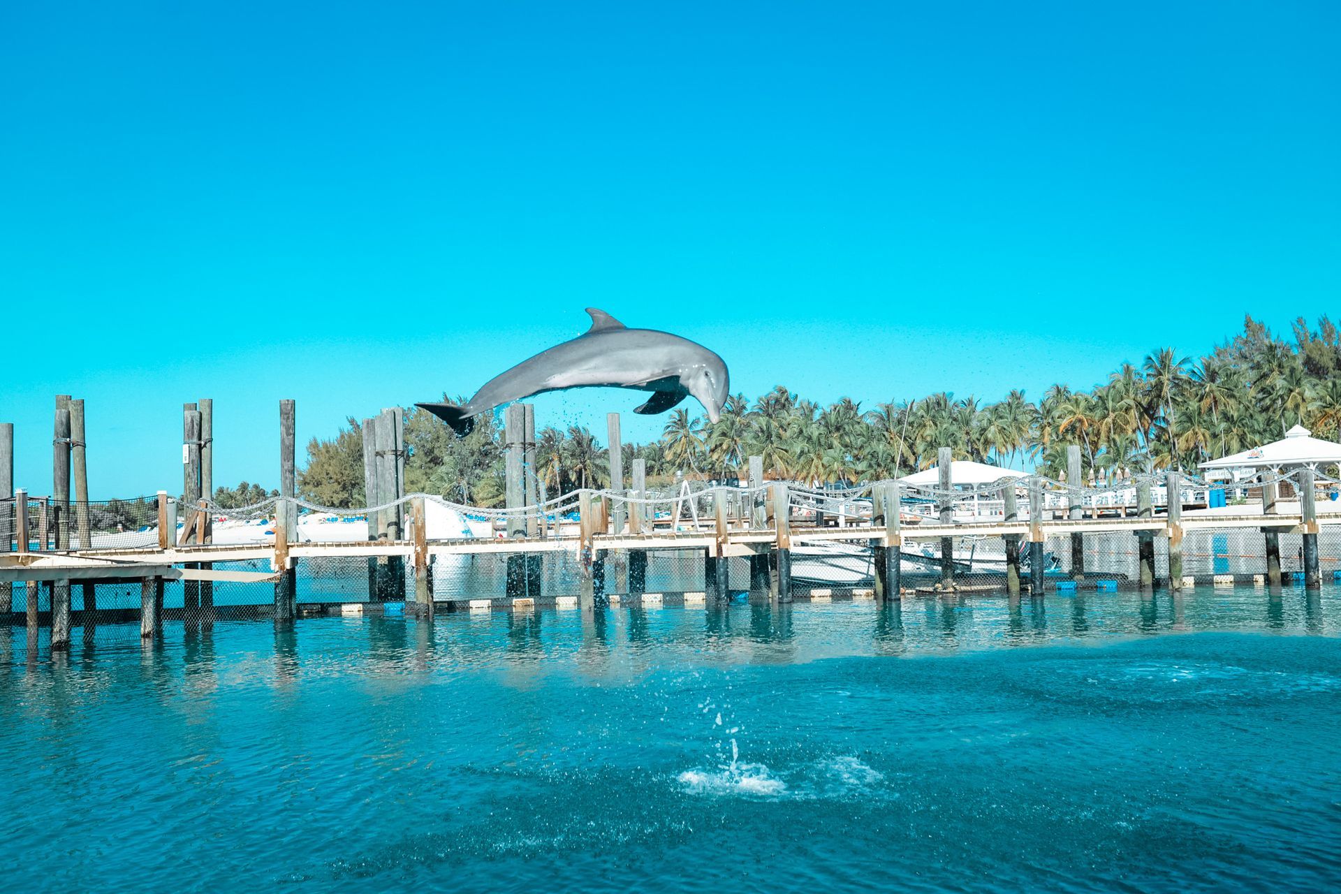 Professional Development for Teachers