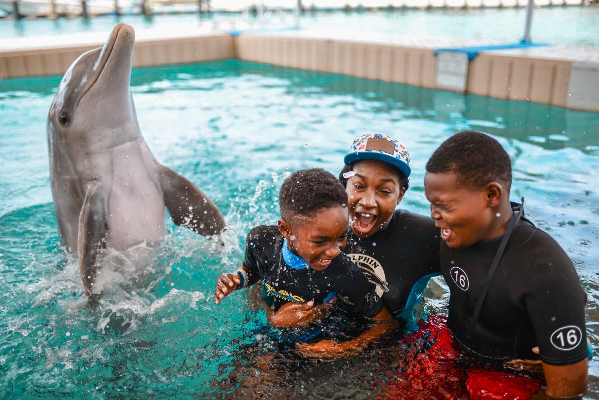 A dolphin leaps from water near a woman and two excited children in a pool.