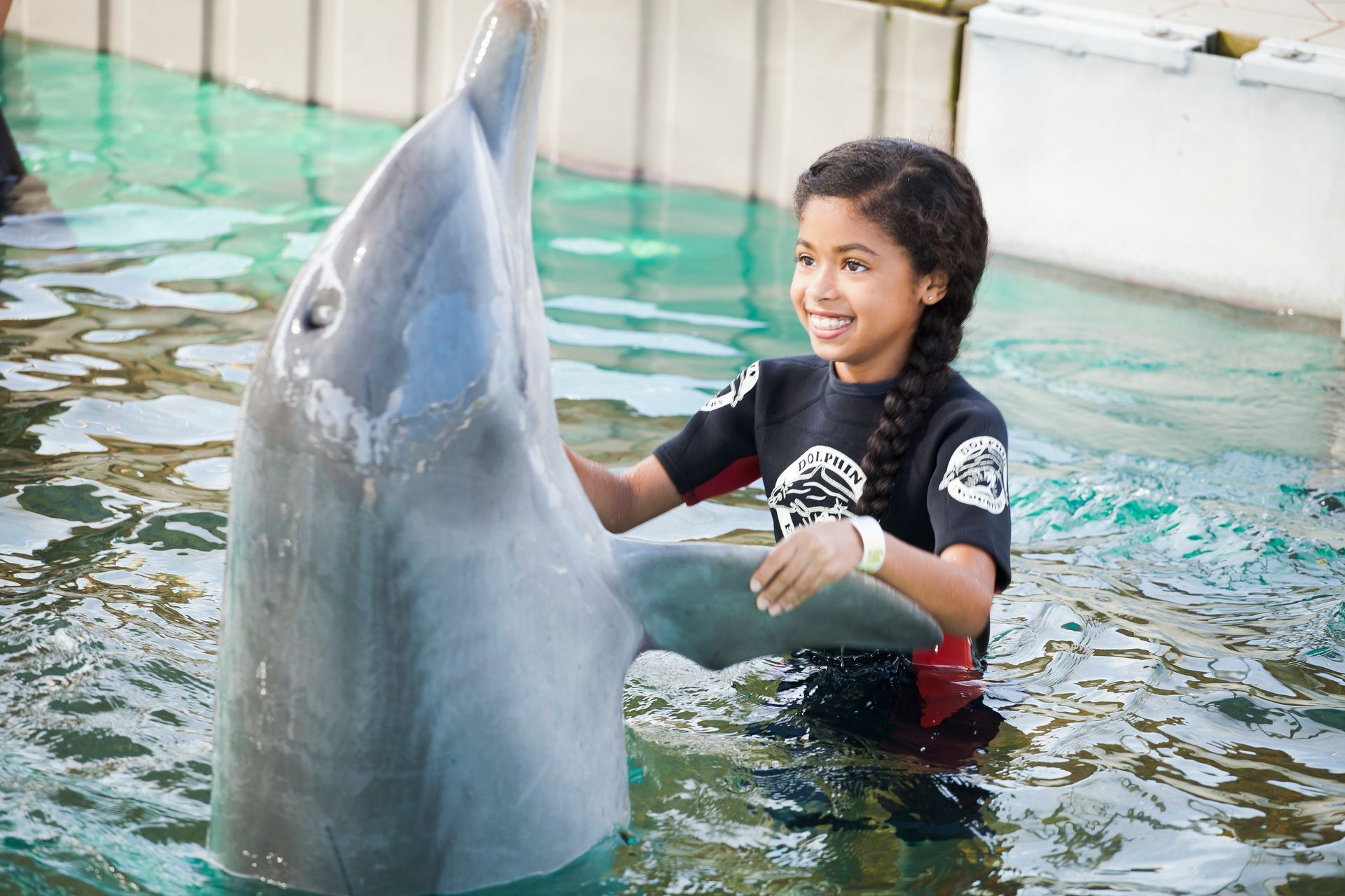 Dolphin Encounter