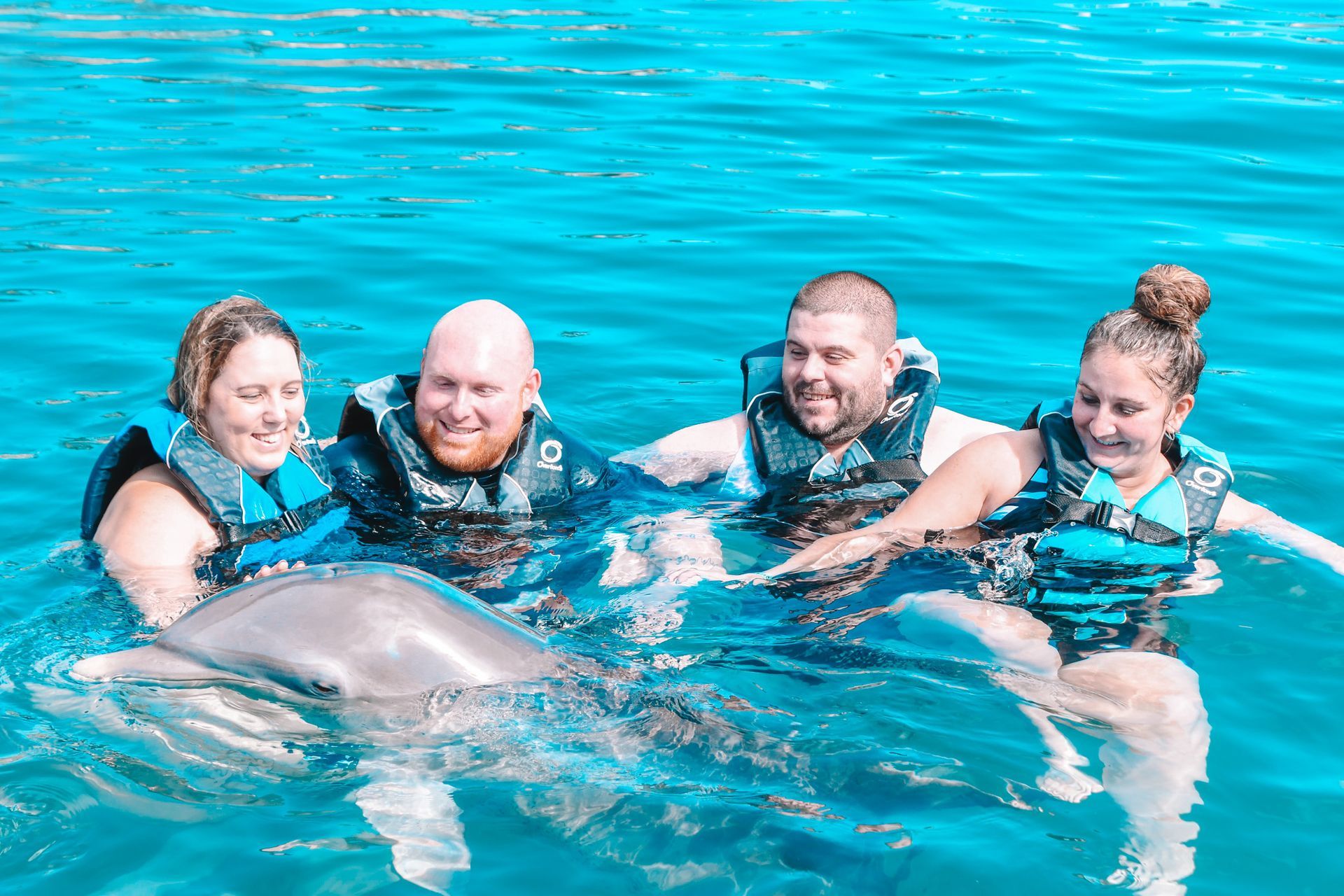 Four people in life vests swim with a dolphin in clear blue water; they are smiling and touching the animal.
