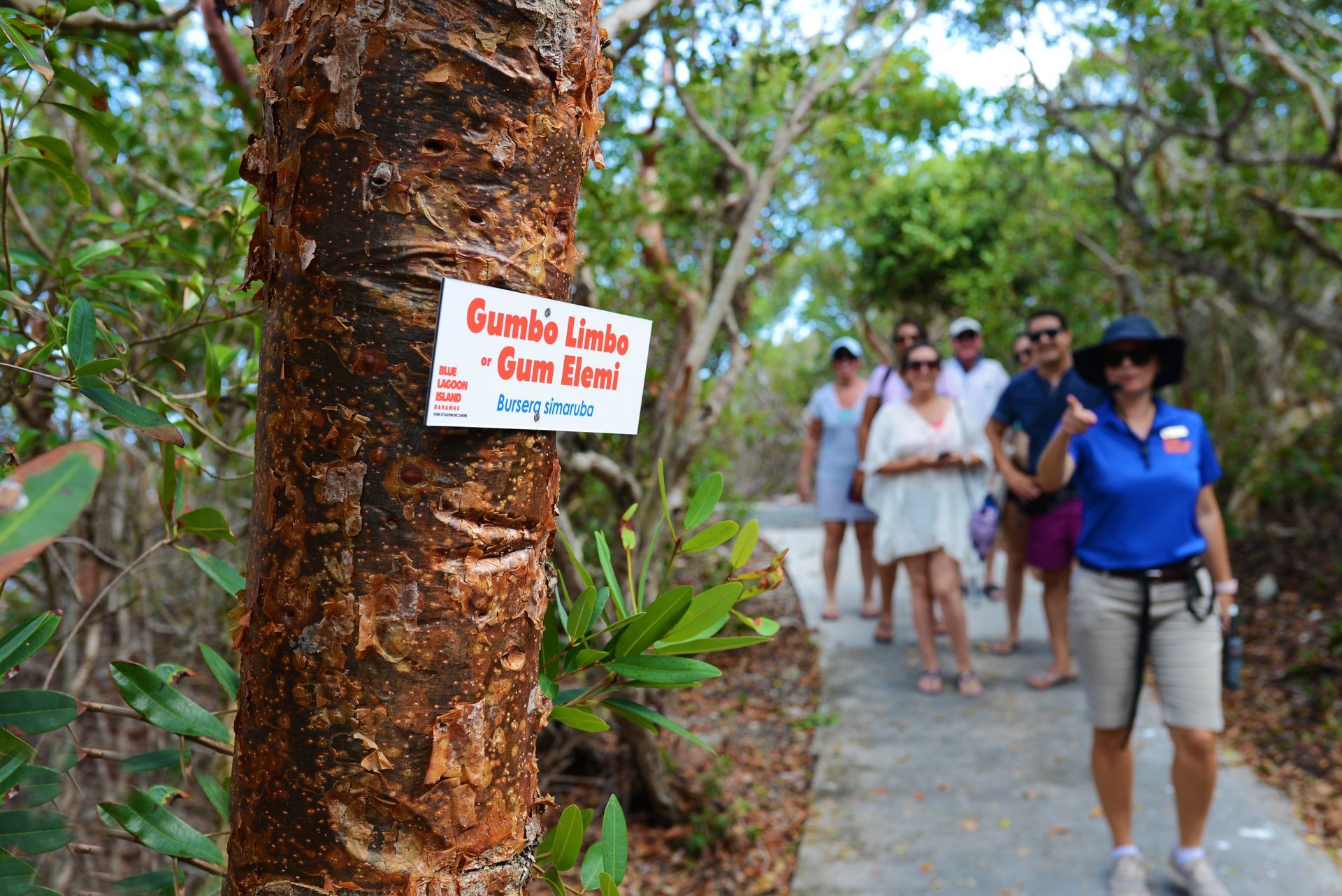 Eco Nature Walking Tour 