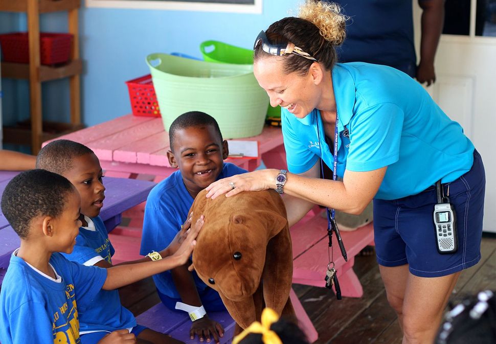 Blue Lagoon Island - Dolphin Encounter