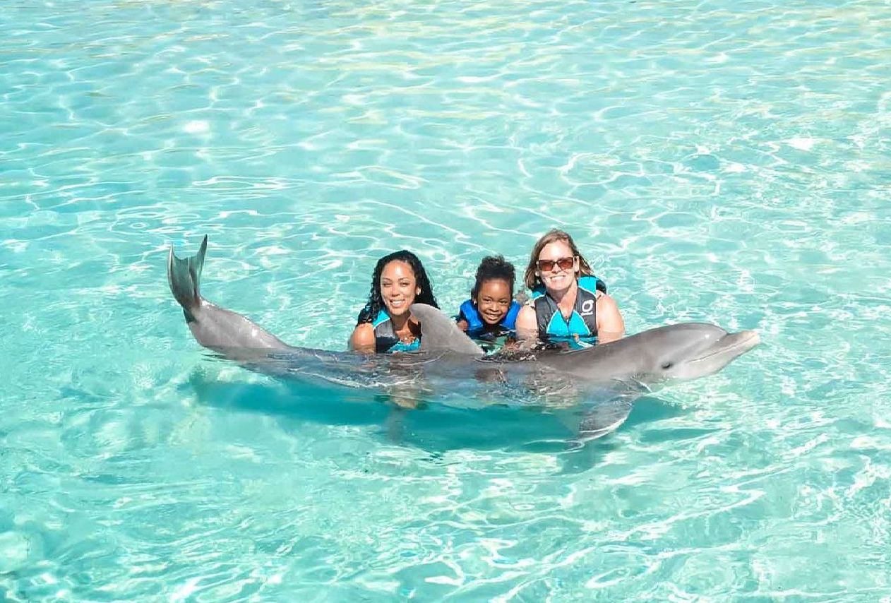 Royal Dolphin Swim