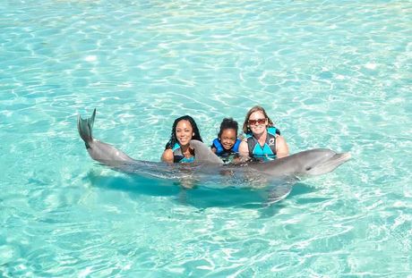 Royal Dolphin Swim