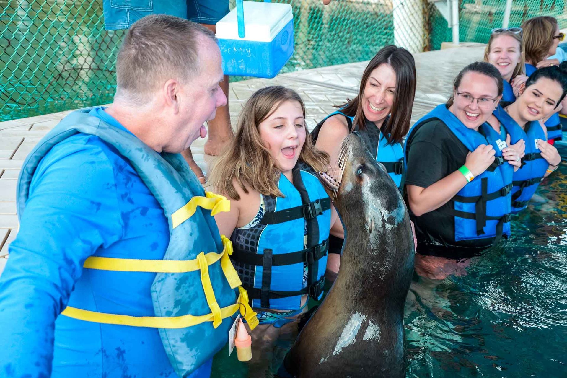 People interact with a sea lion in water, wearing life vests.