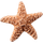 Starfish