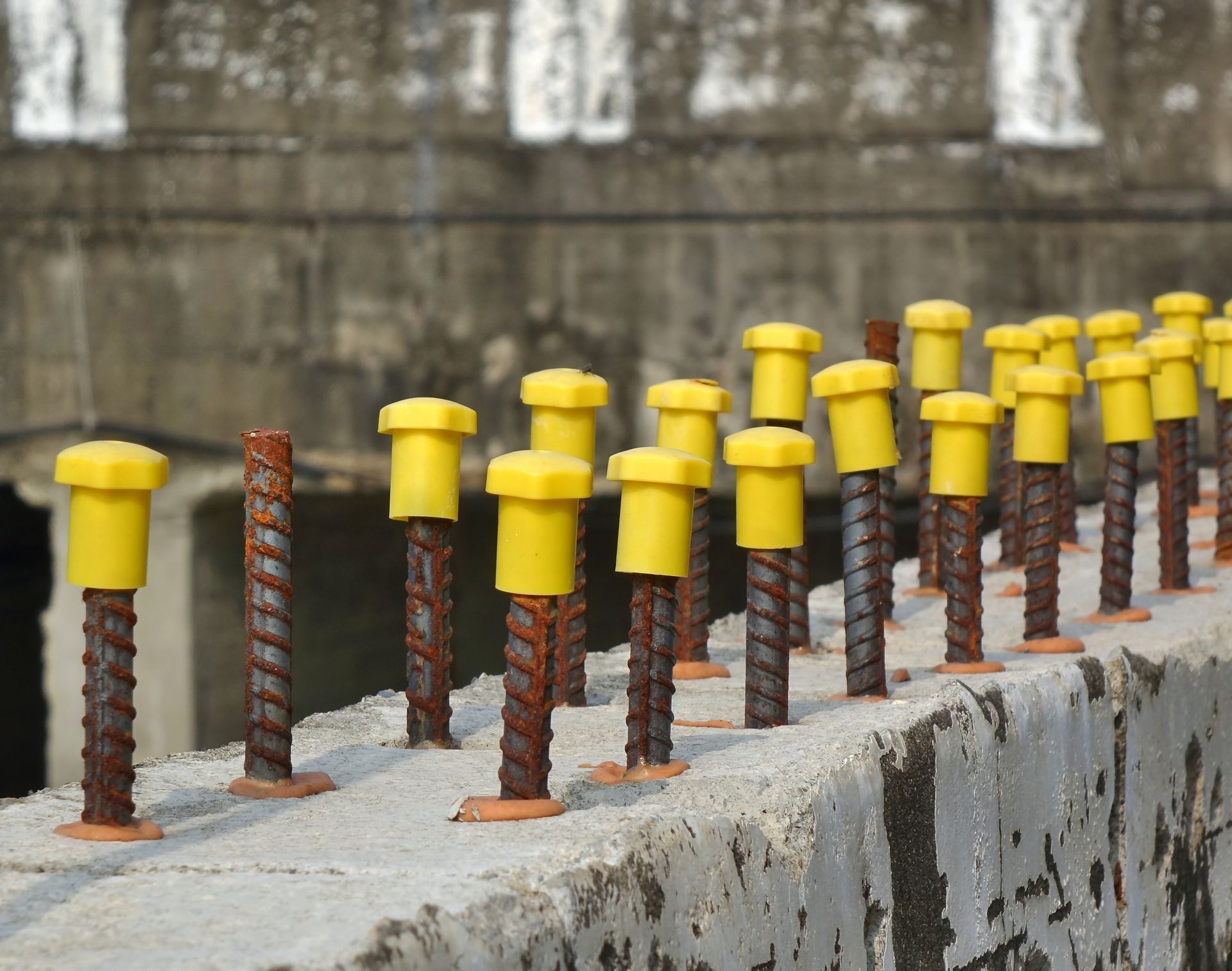 A row of yellow caps are sitting on a concrete wall
