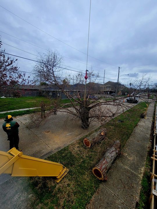 A worker in a high-visibility jacket monitors a crane lifting tree limbs near an orchard under a cloudy sky.