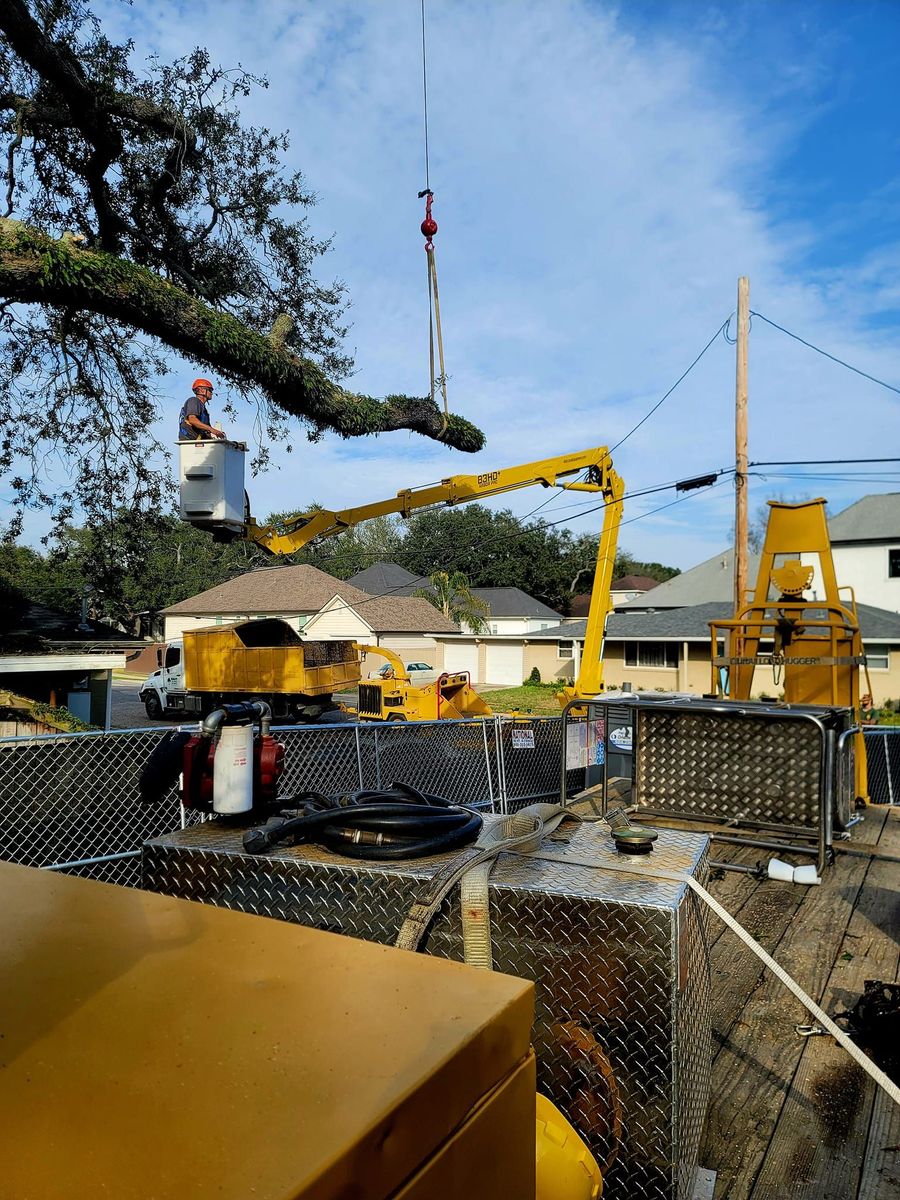 A worker in an elevated bucket truck trims a large tree branch above a construction site with houses in the background.