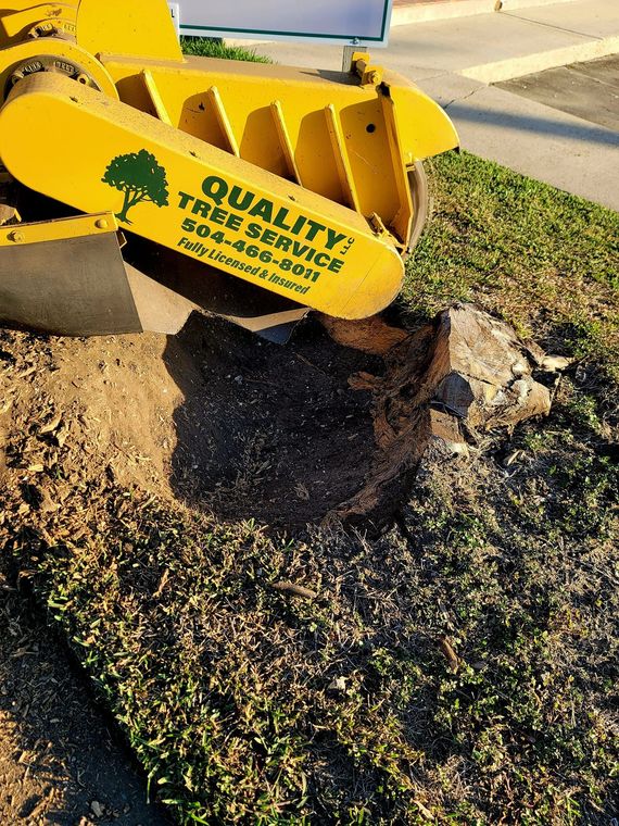 A yellow stump grinder machine grinding a tree stump in a patch of grass next to a sidewalk.