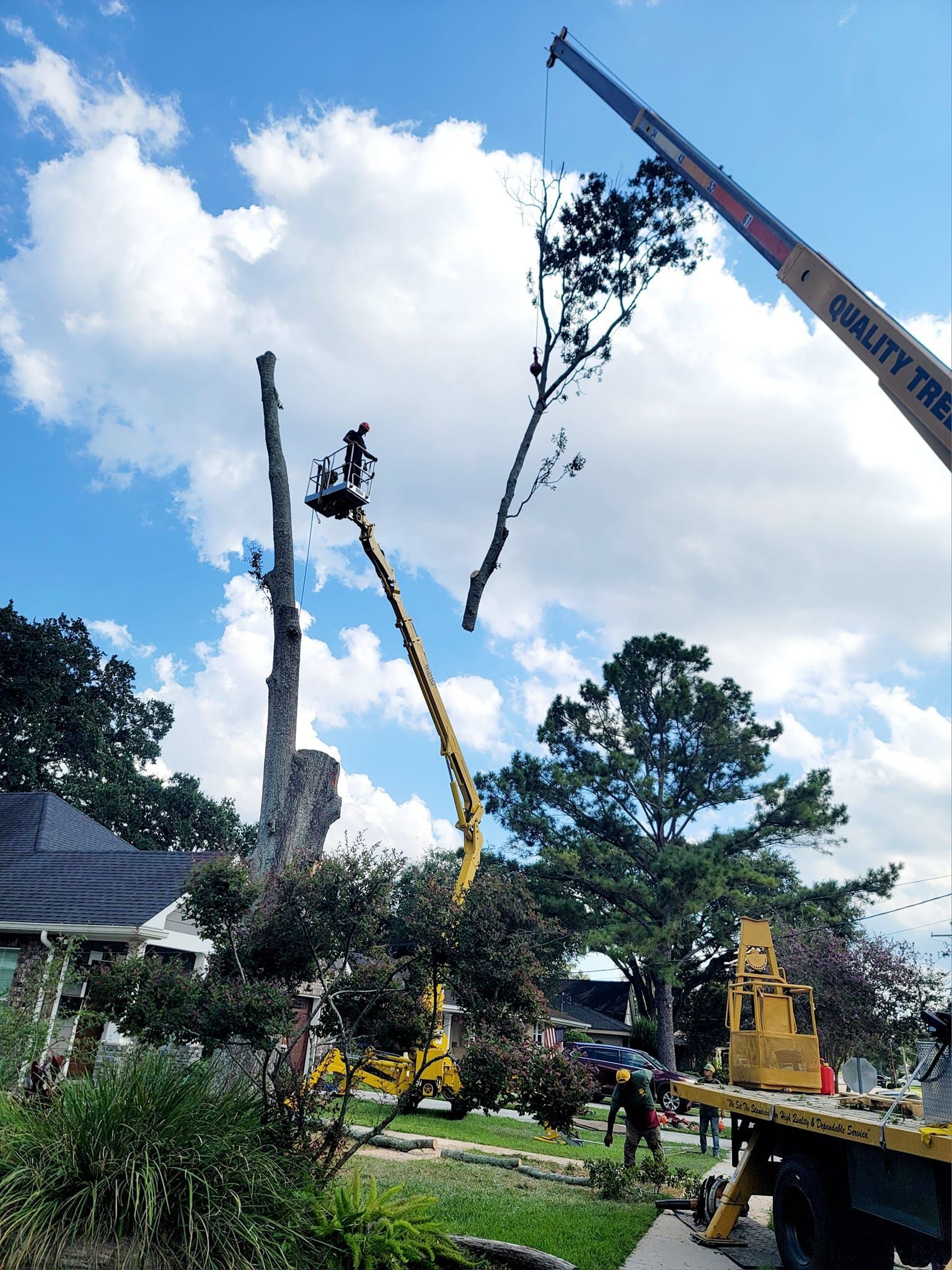 A crane removes a large tree limb while a worker in a bucket lift prunes a tall, bare tree near a house.