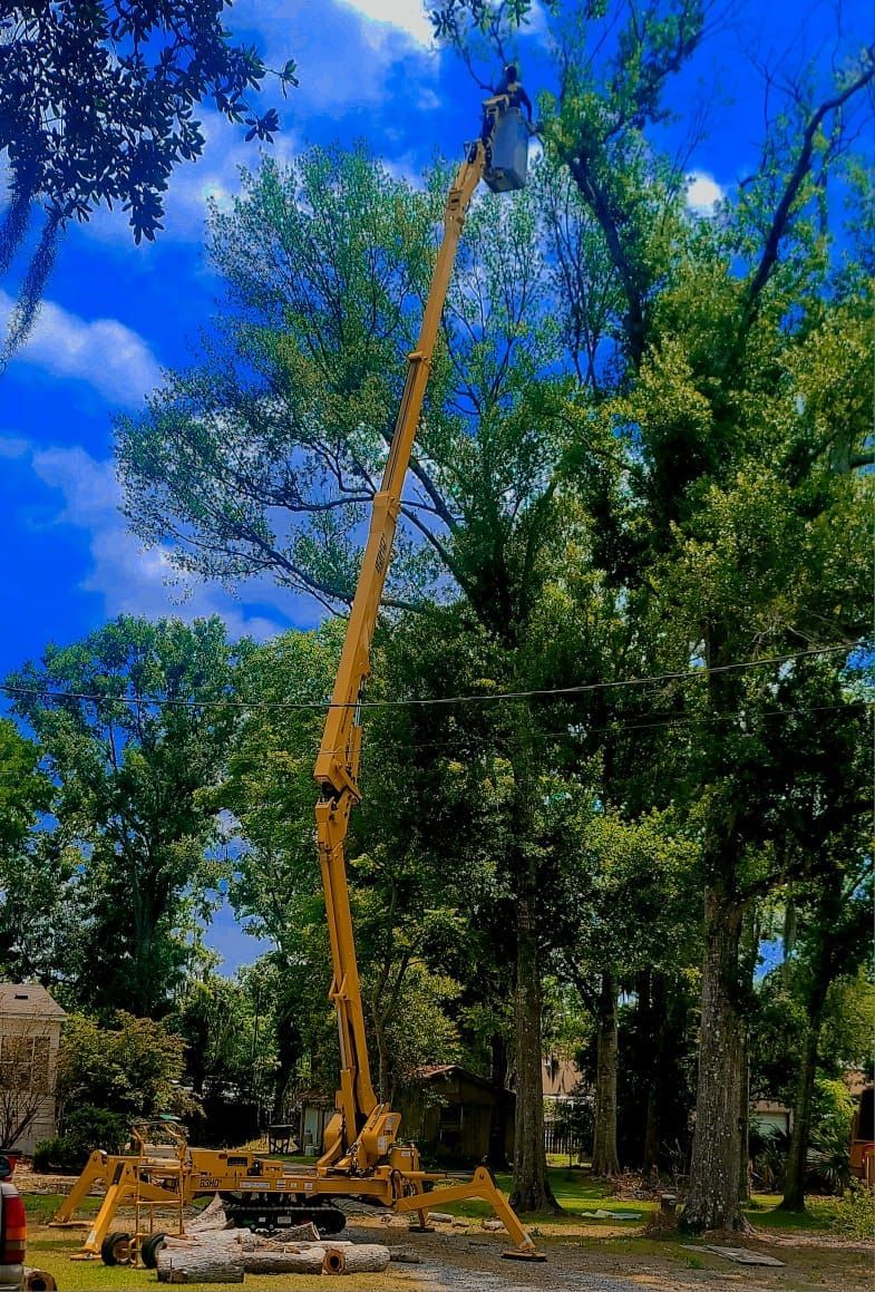 A yellow bucket truck extended high into the canopy of lush green trees against a bright blue sky.