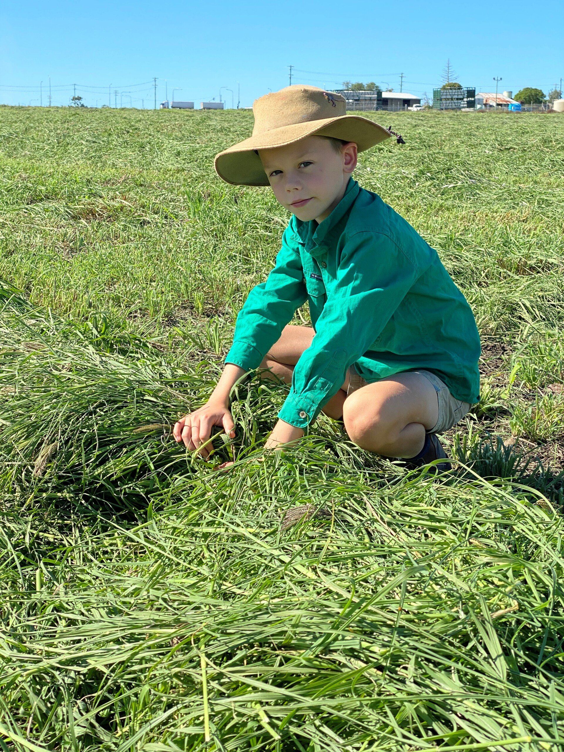About Toowoomba Hay Farm