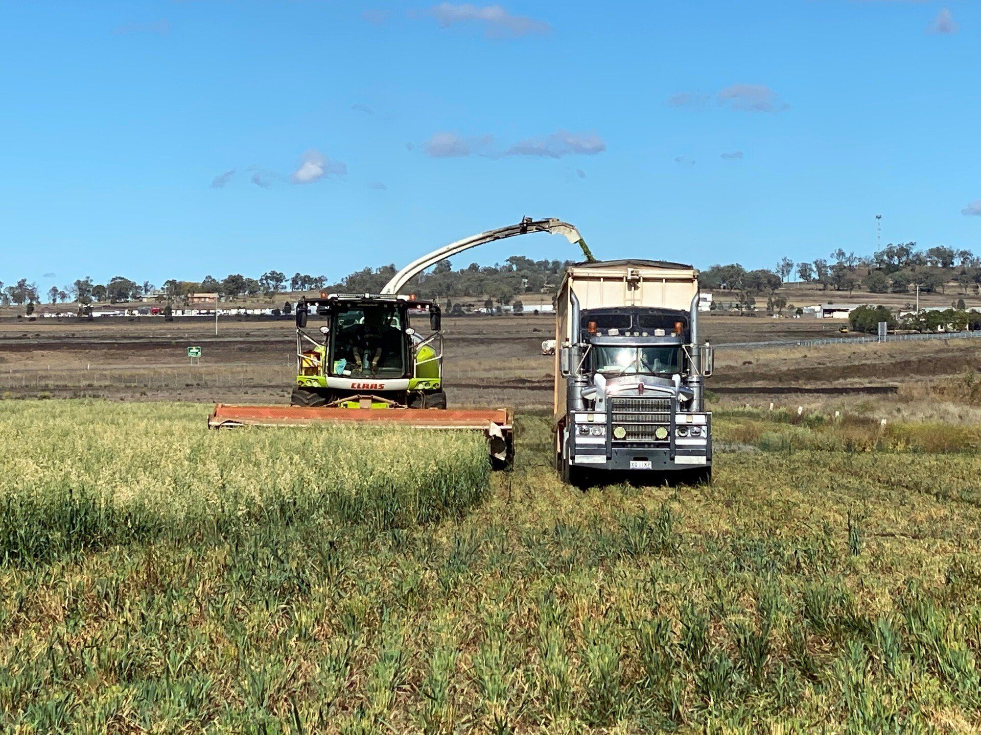 Contact Toowoomba Hay Farm