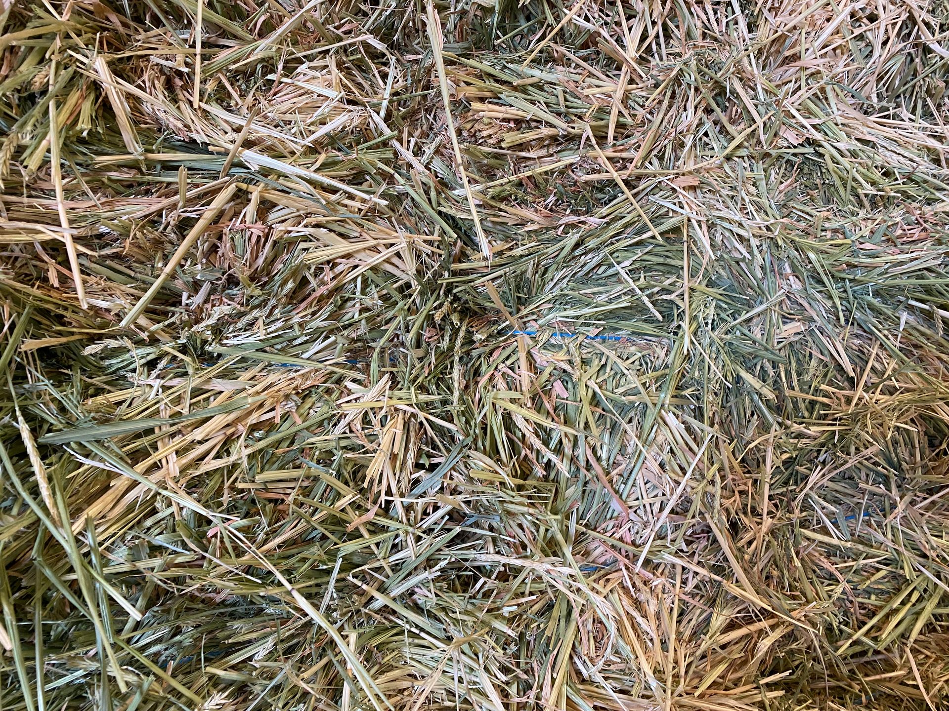 Barley Hay Baron Packs For Sale