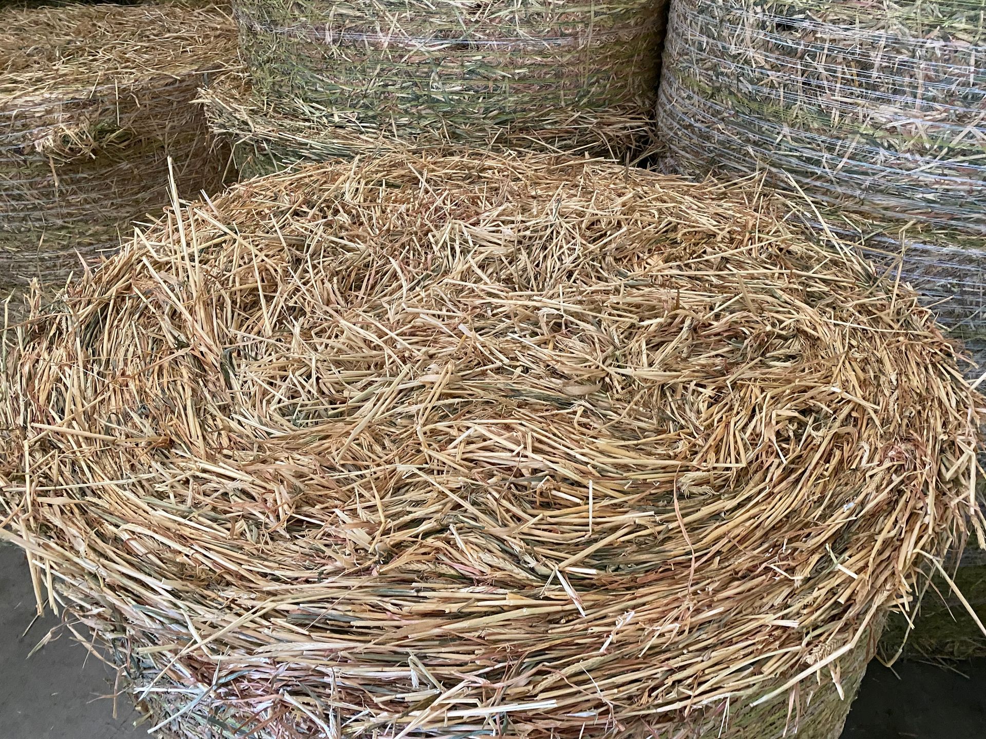 Barley Hay Round Bales For Sale