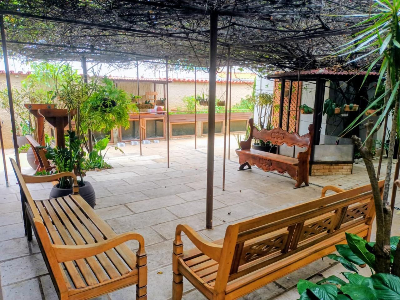 Pátio externo com bancos de madeira, rodeado de plantas e coberto por trepadeiras.