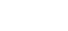 AAA - USA Logo White
