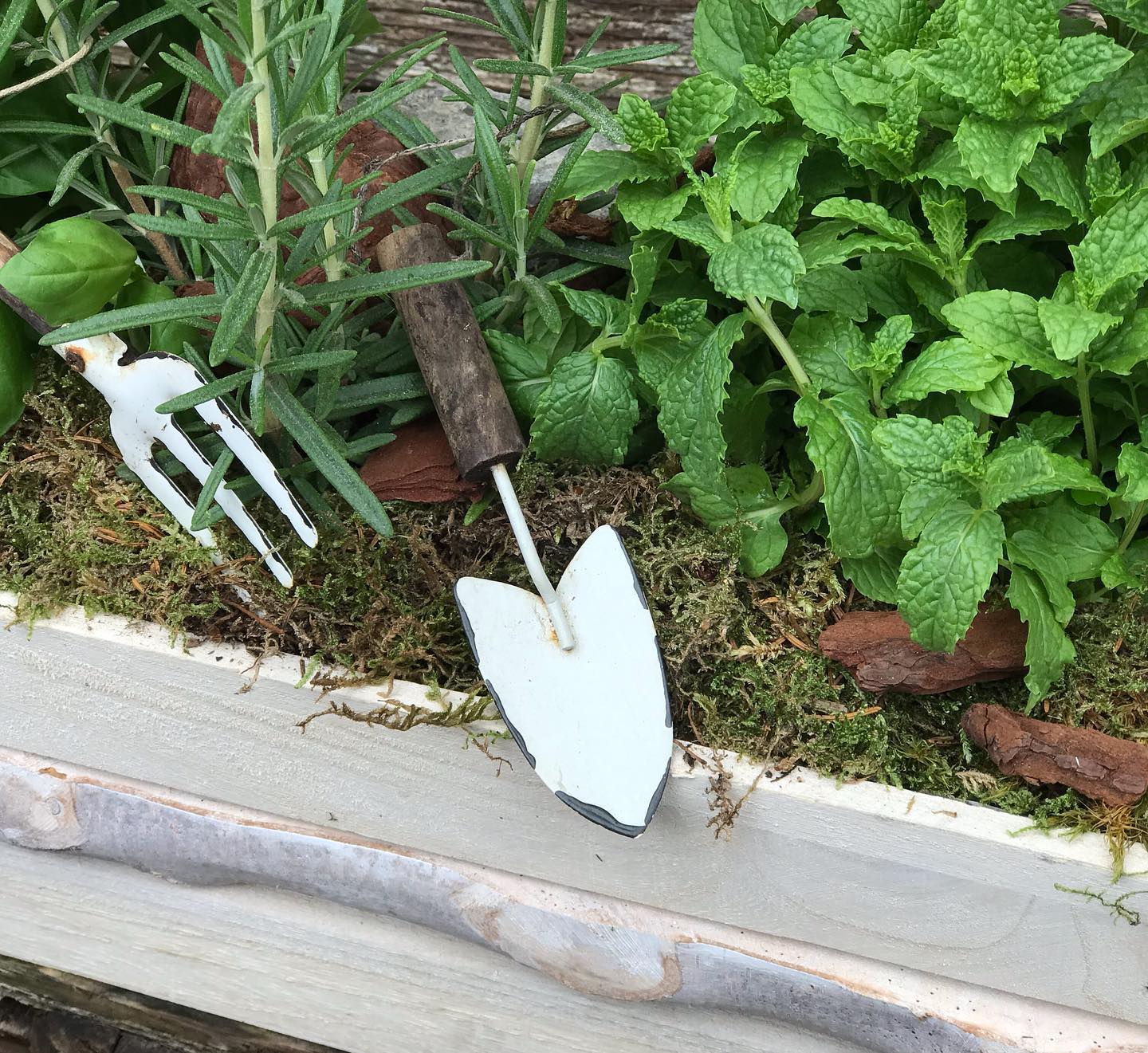 Strumenti da giardinaggio