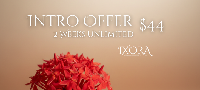 intro offer for yoga and wellness in Colorado Springs