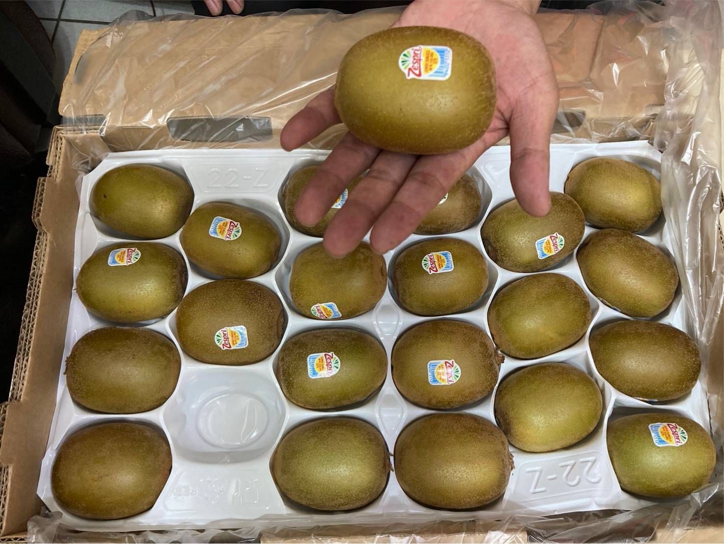 黃金奇異果22顆一箱/原封箱/2箱優惠價