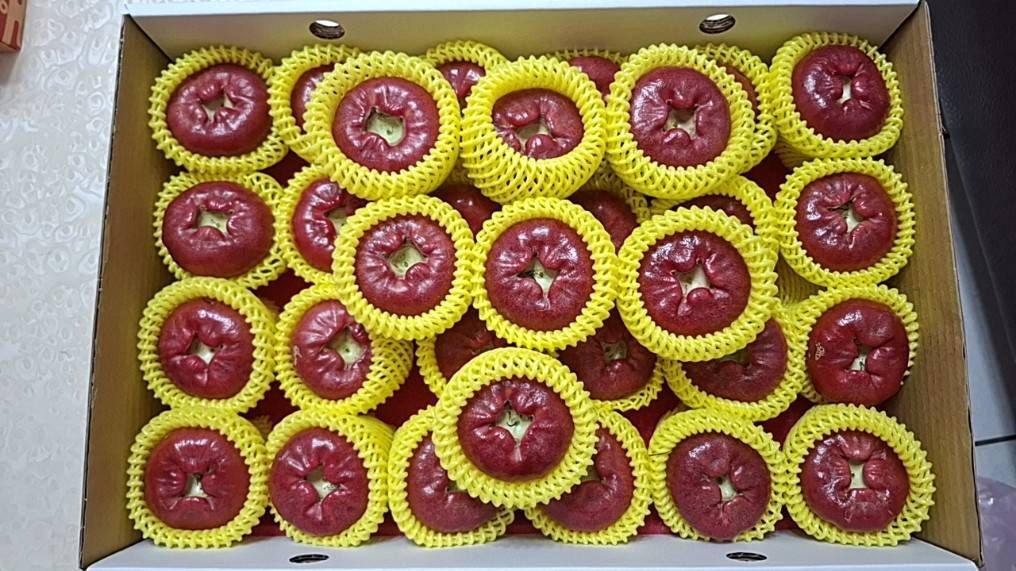 黑珍珠蓮霧約5斤