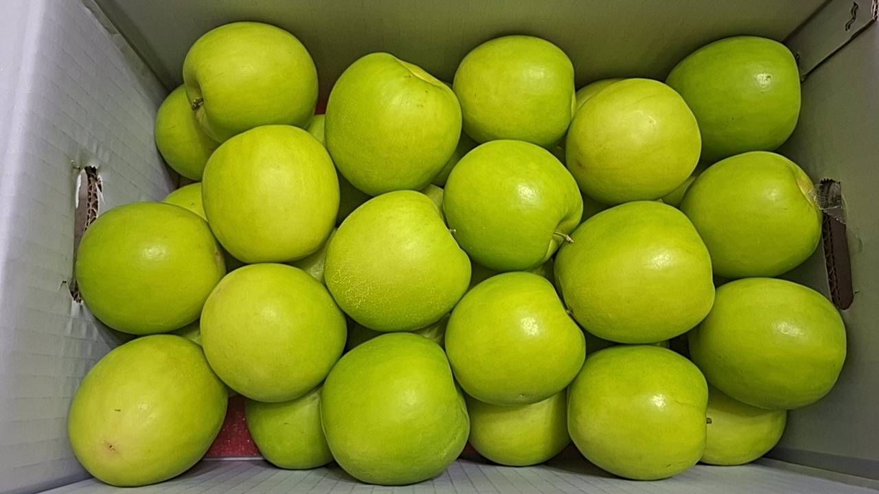 雪麗蜜棗一顆約4兩以上/10斤原封箱