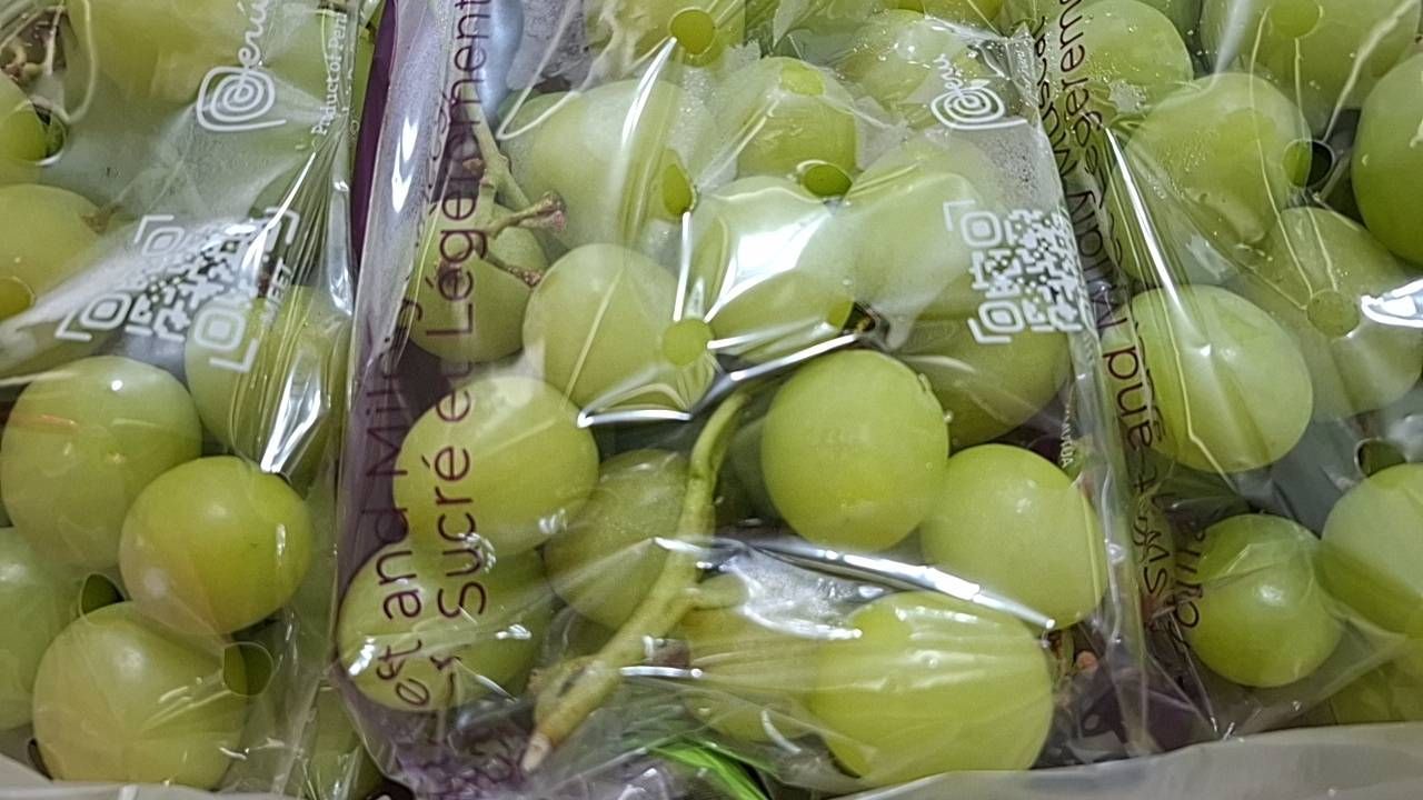 的副本 秘魯/秋翠綠無子葡萄/禮盒裝/4房組