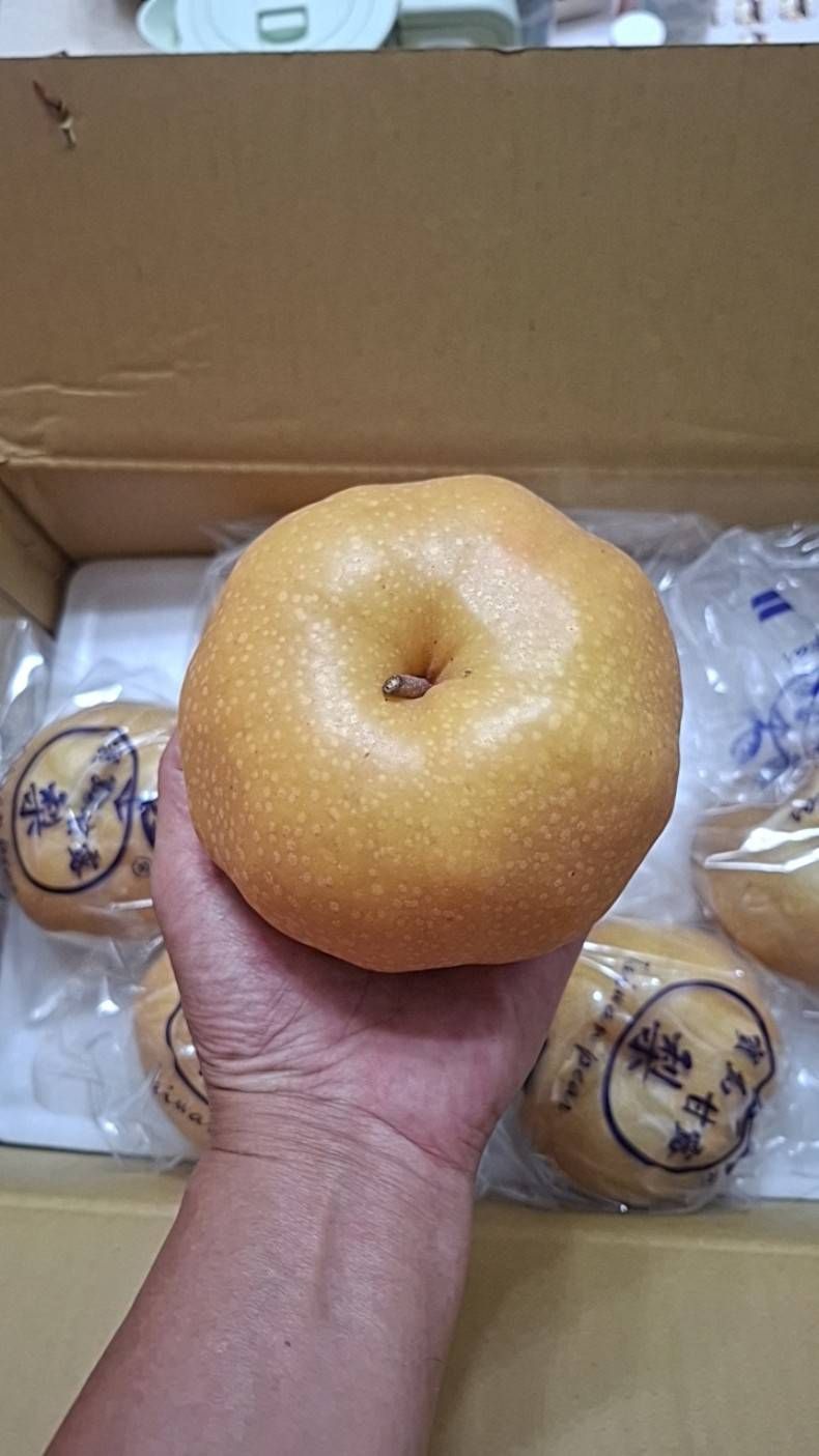 寶島甘露梨18A/7顆禮盒裝